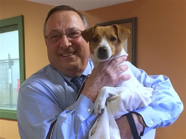 Veto record-holding governor names new dog Veto