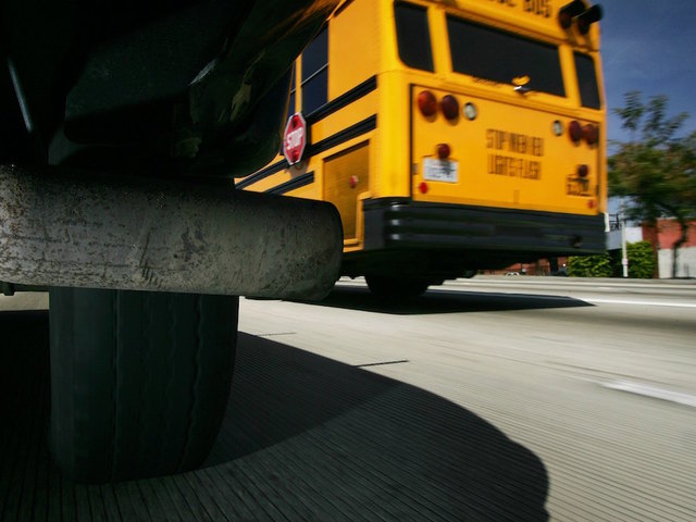 Georgia school bus driver arrested for DUI caught on camera