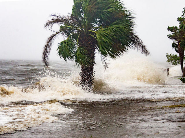 Hurricane Michael makes landfall with 155-mph winds in Florida Panhandle